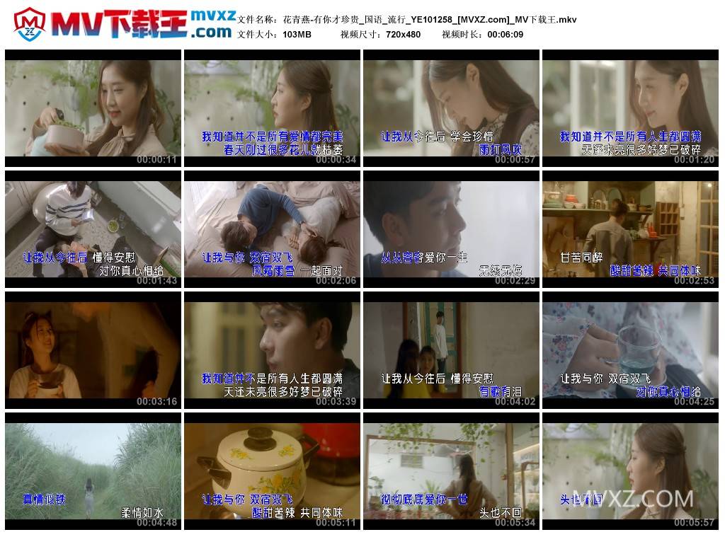 花青燕-有你才珍贵_国语_流行_YE101258